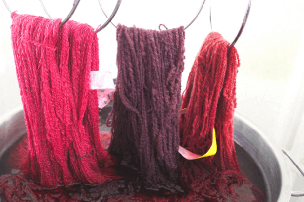 3 Stränge Wolle in verschiedenen Rot-Tönen werden aus einem roten Färbesud herausgehoben.