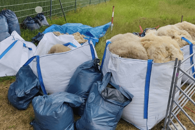 Drei Big Bags voll frischer Schafvliese sowie 8 Müllsäcke, ebenfalls mit Wolle, stehen auf einer Wiese.