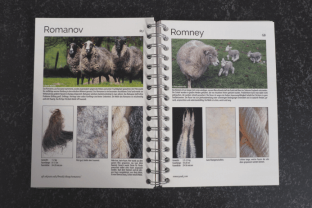 Buch Schafe und Wolle in Europa offen