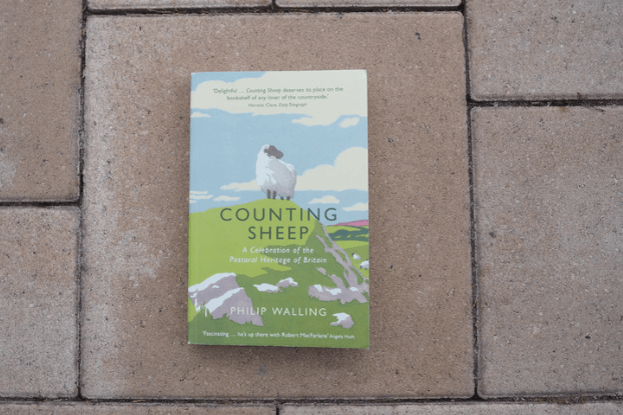 Buch "Counting Sheep" liegt auf Terrassenfliesen