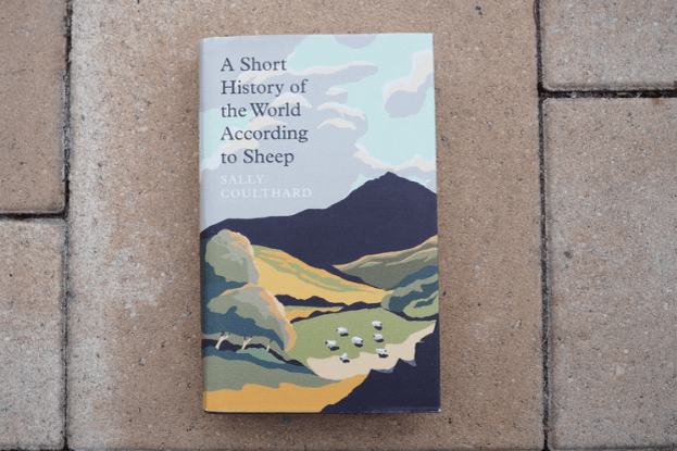 Buch "A short history of the world according to sheep" liegt auf Terrassenfliesen