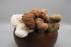 Stränge von handgesponnener farbig gewachsener Baumwolle in einer Holzschale.