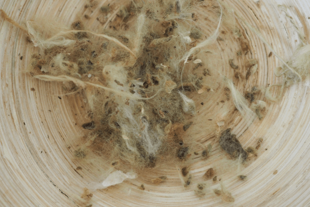 Pflanzenteilreste, die beim Spinnen der Baumwolle herausgepickt wurden.