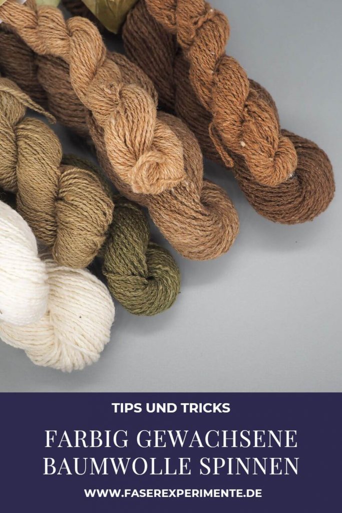 Pinterest Pin für Farbig gewachsene Baumwolle. Gesponnene Stränge in weiß, senfgrün, macchiato und chocolate vor grauem Hintergrund.