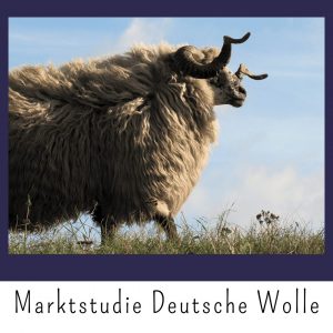 Marktstudie Deutsche Wolle, Abbildung Walachenschaf