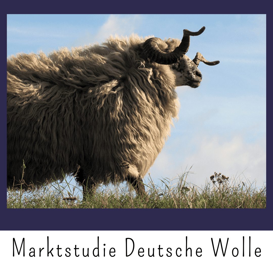 BMEL Studie zur Marktanalyse für deutsche Schafschurwolle