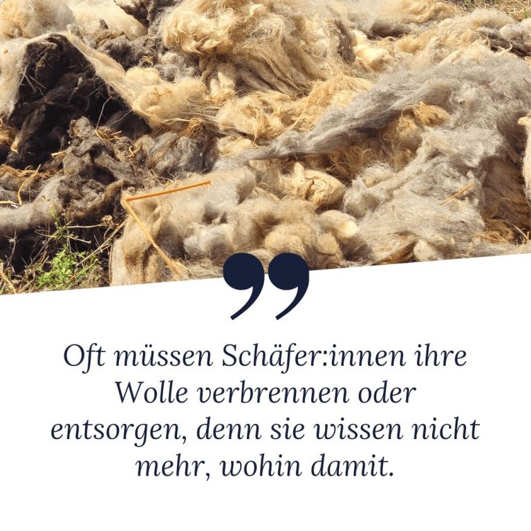 Zitat "Oft müssen Schäfer:innen ihre Wolle verbrennen oder entsorgen, denn sie wissen nicht mehr, wohin damit."