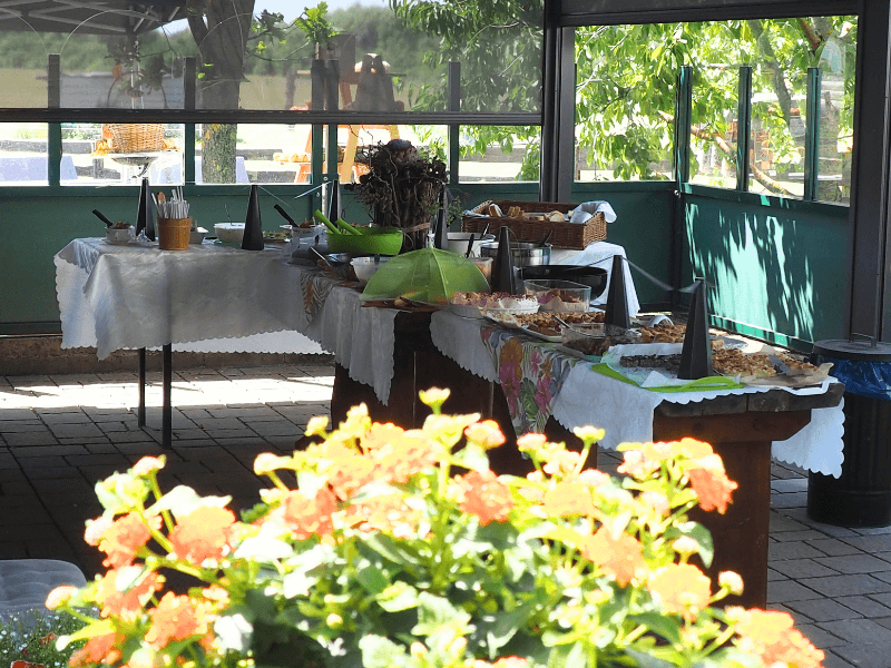 Blick auf ein Gartenbüffet im Schatten mit Kuchen und Salatschüsseln.