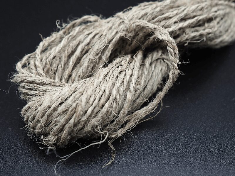 Nahaufnahme Leinengarn 1qm Lein 2025 mittellange Fasern