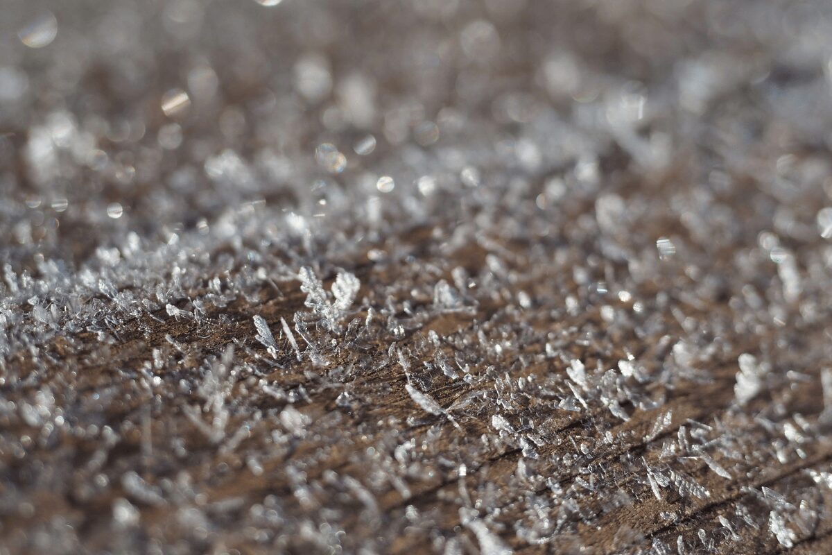 Erstens kommt es anders… Jahresrückblick 2025