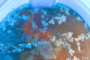 Nahaufnahme der Oberfläche eines Fermentationsansatzes mit Schafwolle in einer blauen Tonne. Ein orangenes Kartoffelnetz ist unter der Oberfläche erkennbar, auf der Oberfläche schwimmen weiße Filmfetzen. faserexperimente. Wolle fermentieren.