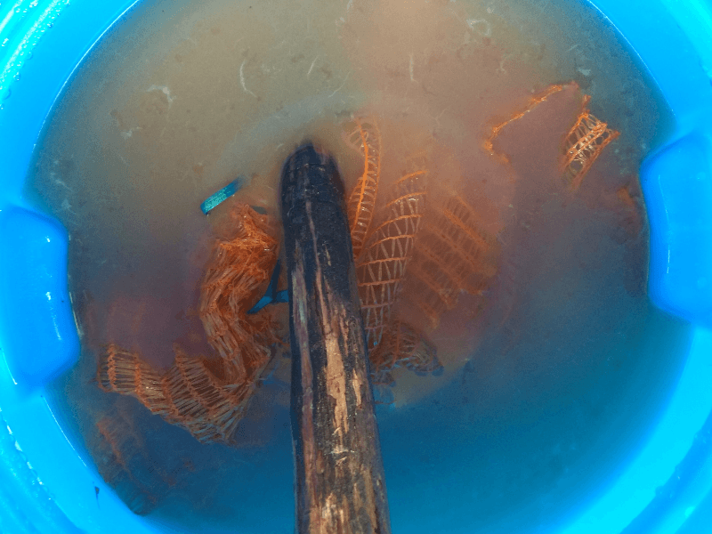 Nahaufnahme Brühe Wolle fermentieren Tag 0. Dunkles trübes Wasser in einer blauen Tonne, unter der Oberfläche ist ein orangenes Kartoffelnetz. Ein Stock hält das Netz unter Wasser.faserexperimente Wolle fermentieren