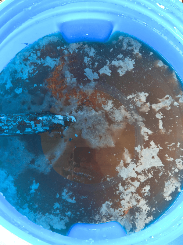 Nahaufnahme der Oberfläche eines Fermentationsansatzes mit Schafwolle in einer blauen Tonne. Ein orangenes Kartoffelnetz ist unter der Oberfläche erkennbar, auf der Oberfläche schwimmen weiße Filmfetzen. faserexperimente. Wolle fermentieren.