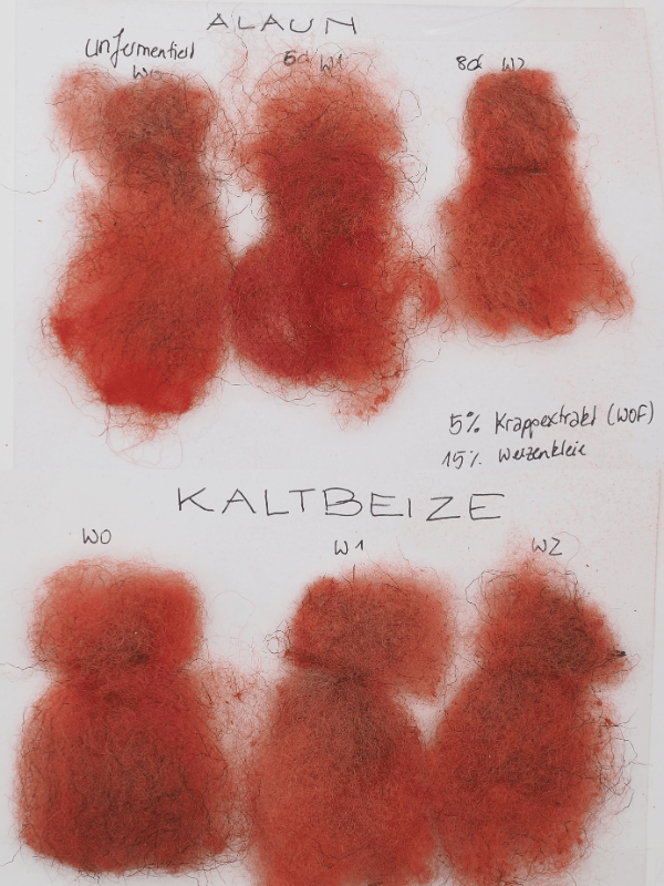 Mit Krapp gefärbte Wollproben vor weißem Hintergrund. Vergleich Alaun und Kaltbeize 5% Krappextrakt.